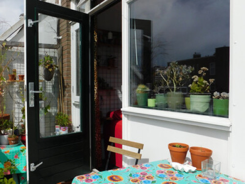 The cat & the kettle