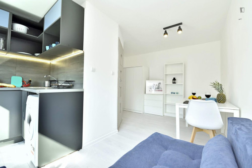 Charismatic and bright studio in Stare Bałuty