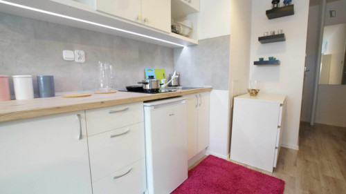 Very nice studio in Fabryczna  - Gallery -  5