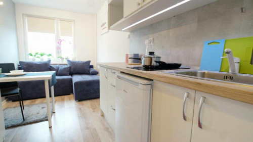 Very nice studio in Fabryczna