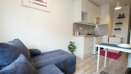 Very nice studio in Fabryczna