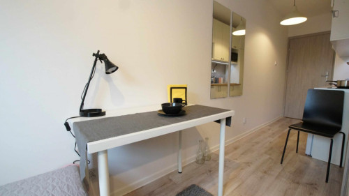 Very comfy studio in Fabryczna