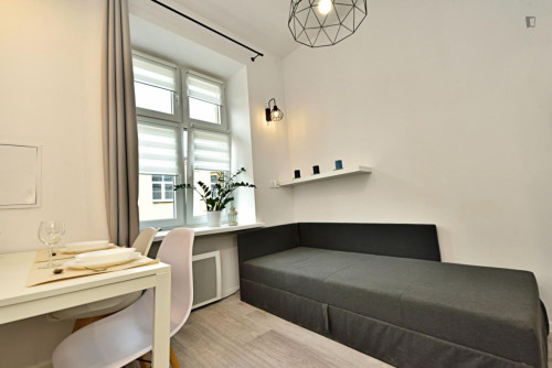 Very interesting studio in the centre of Łódź