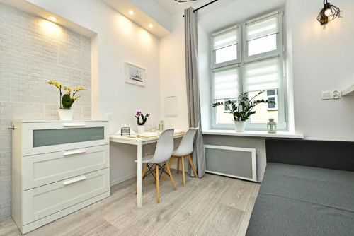 Very interesting studio in the centre of Łódź