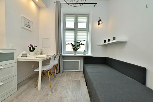 Very interesting studio in the centre of Łódź
