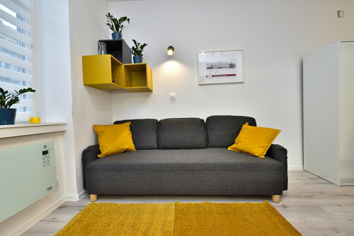 Homely studio in Fabryczna Widzew