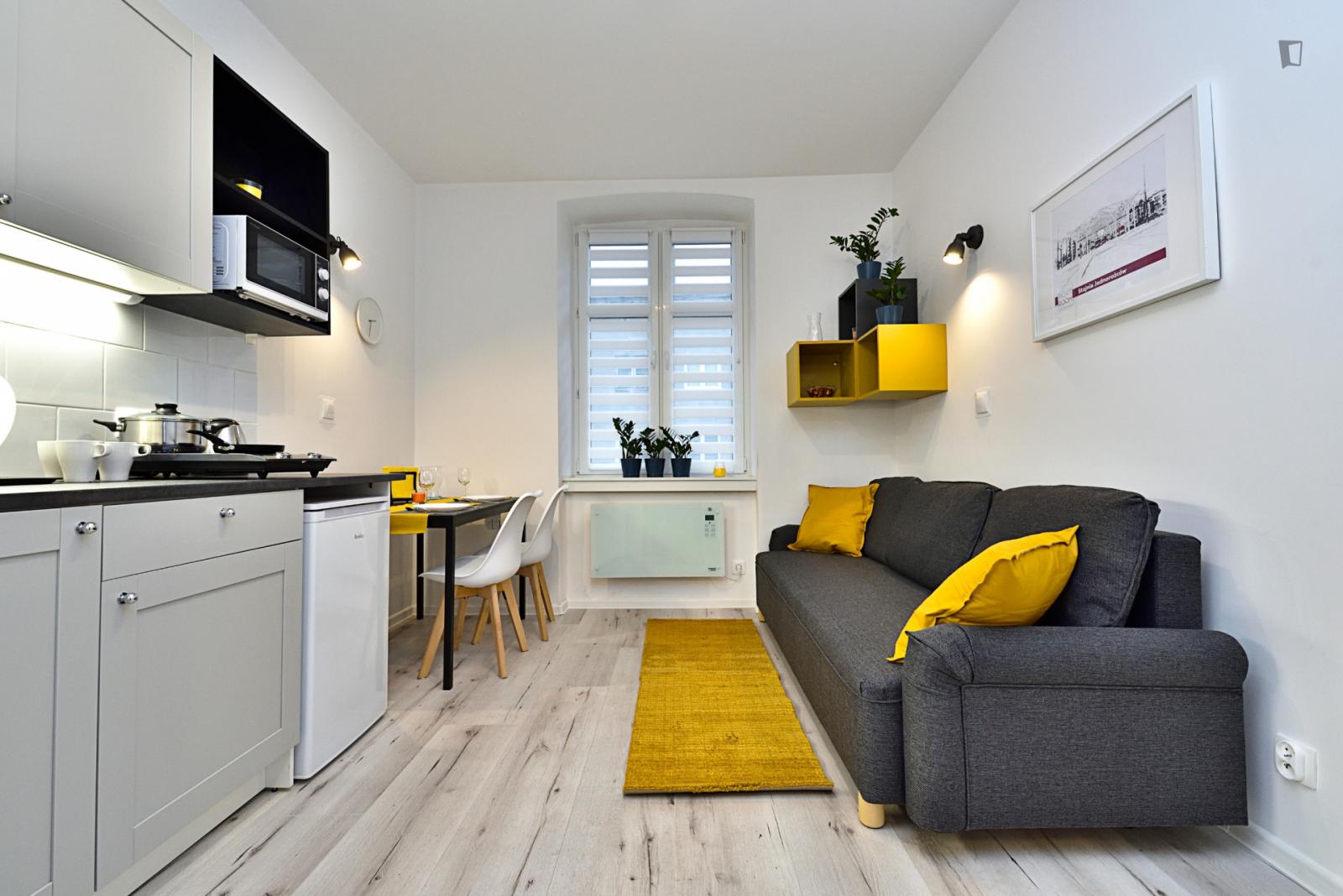  Homely Studio In Fabryczna Widzew  -  Homely studio in Fabryczna Widzew  - Gallery -  1