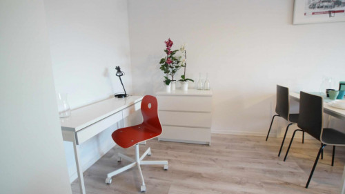 Splendid studio in Śródmieście