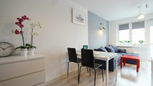 Splendid studio in Śródmieście  - Gallery -  5