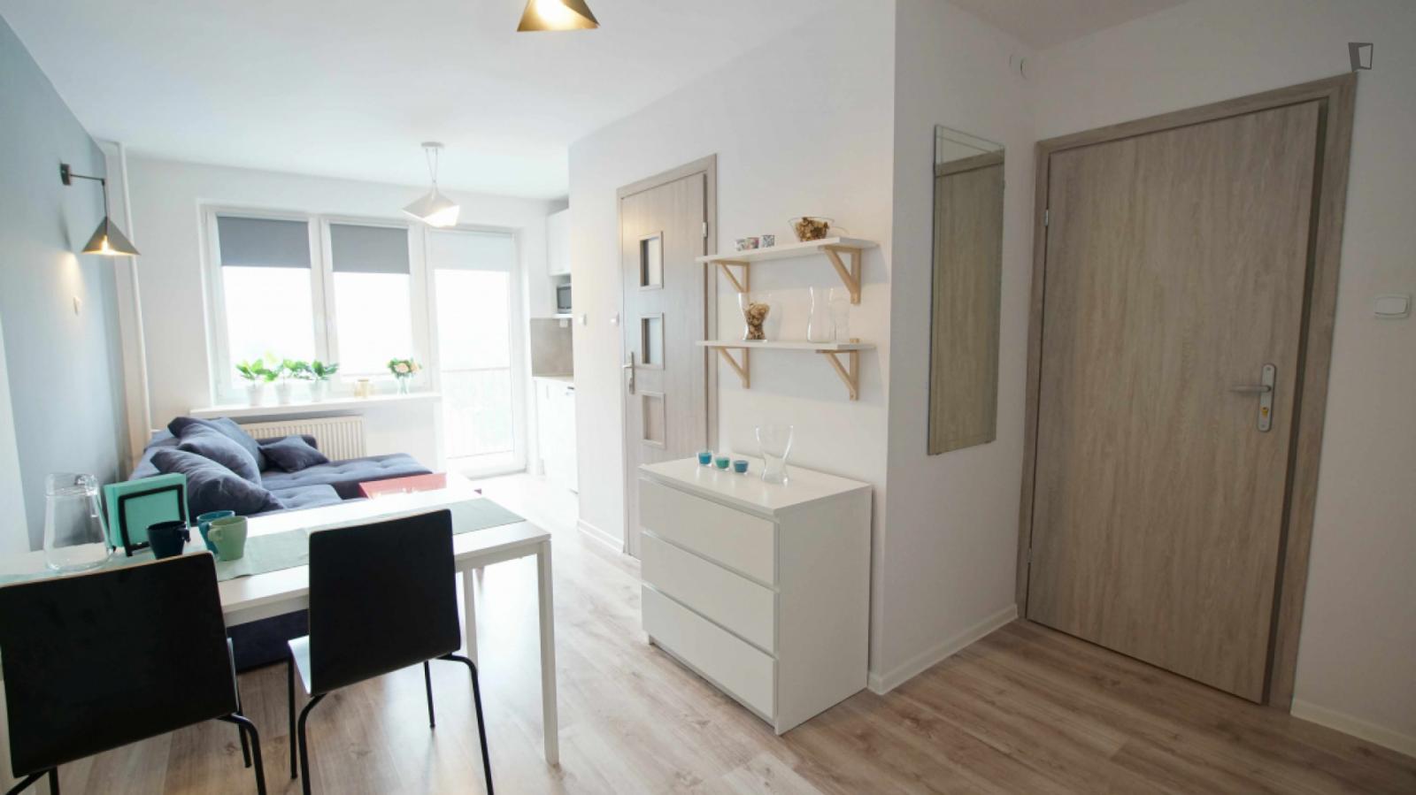  Splendid Studio In Śródmieście  -  Splendid studio in Śródmieście  - Gallery -  1