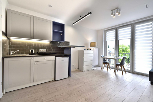 Very charming studio in Fabryczna Widzew