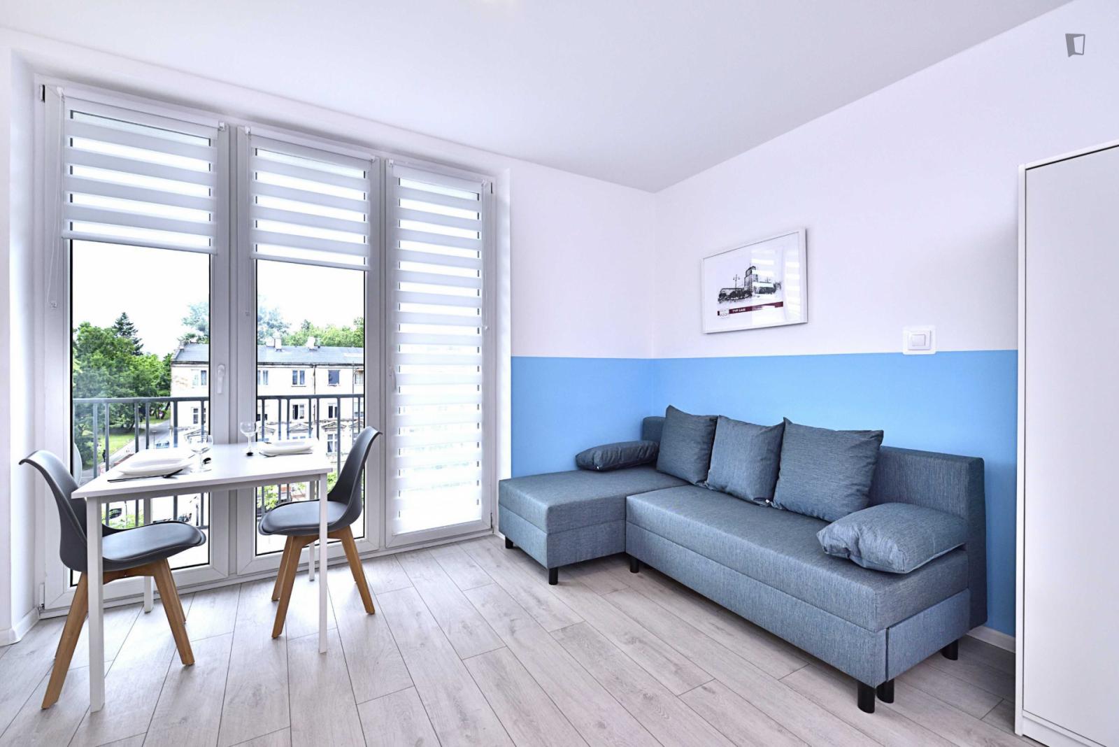 Very Charming Studio In Fabryczna Widzew - Very charming studio in Fabryczna Widzew - Gallery - 1