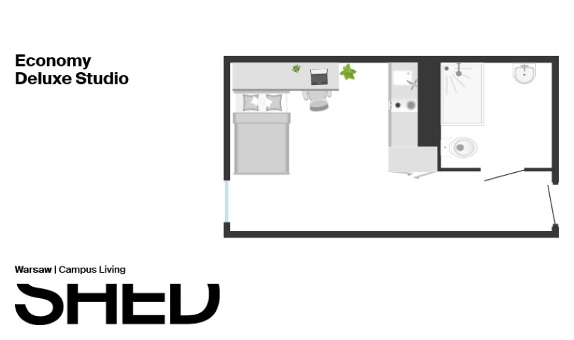 Economy Deluxe Studio - 3