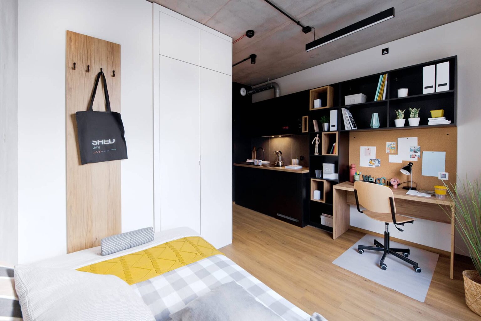 Compact Studio - 3