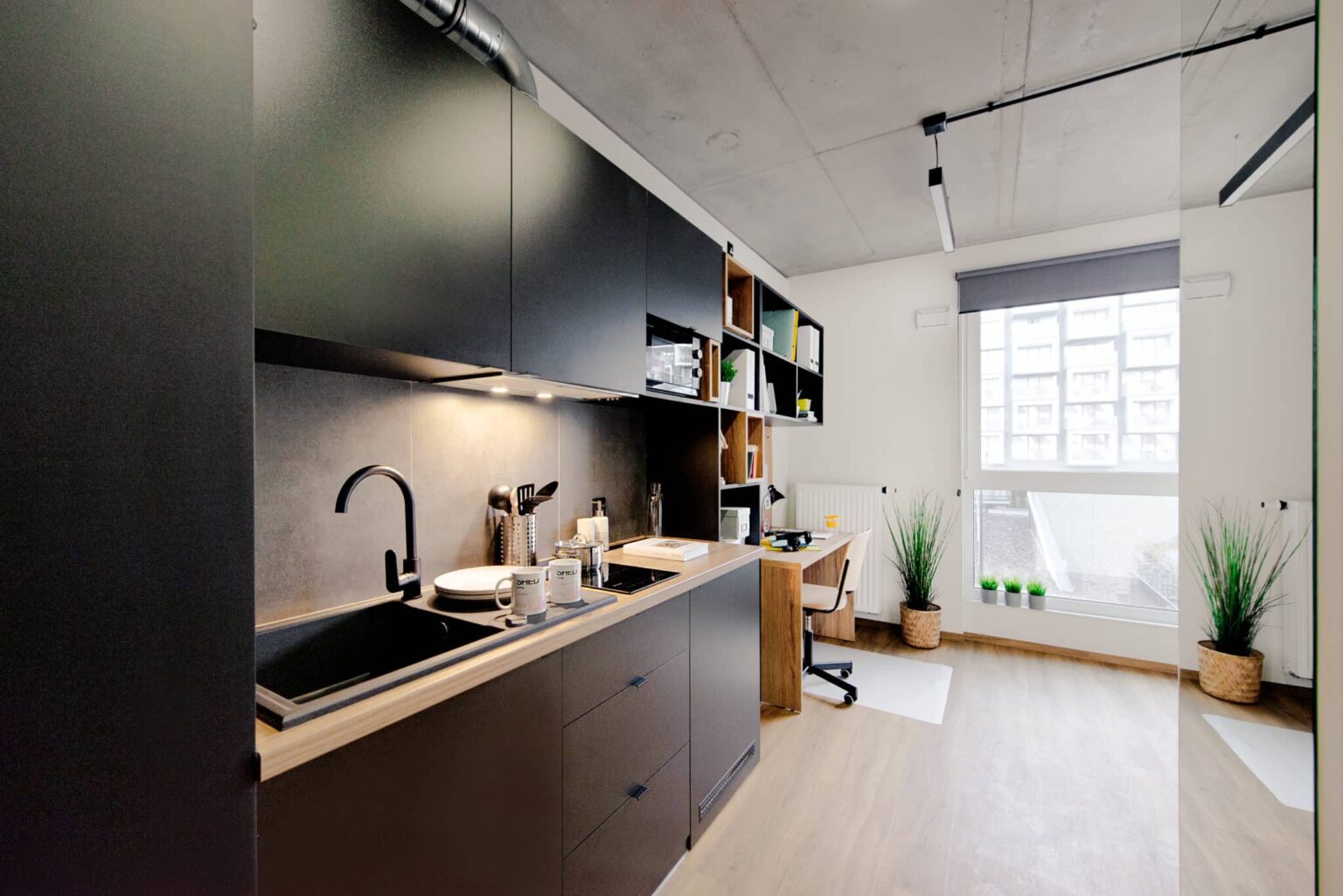 Compact Studio - 4