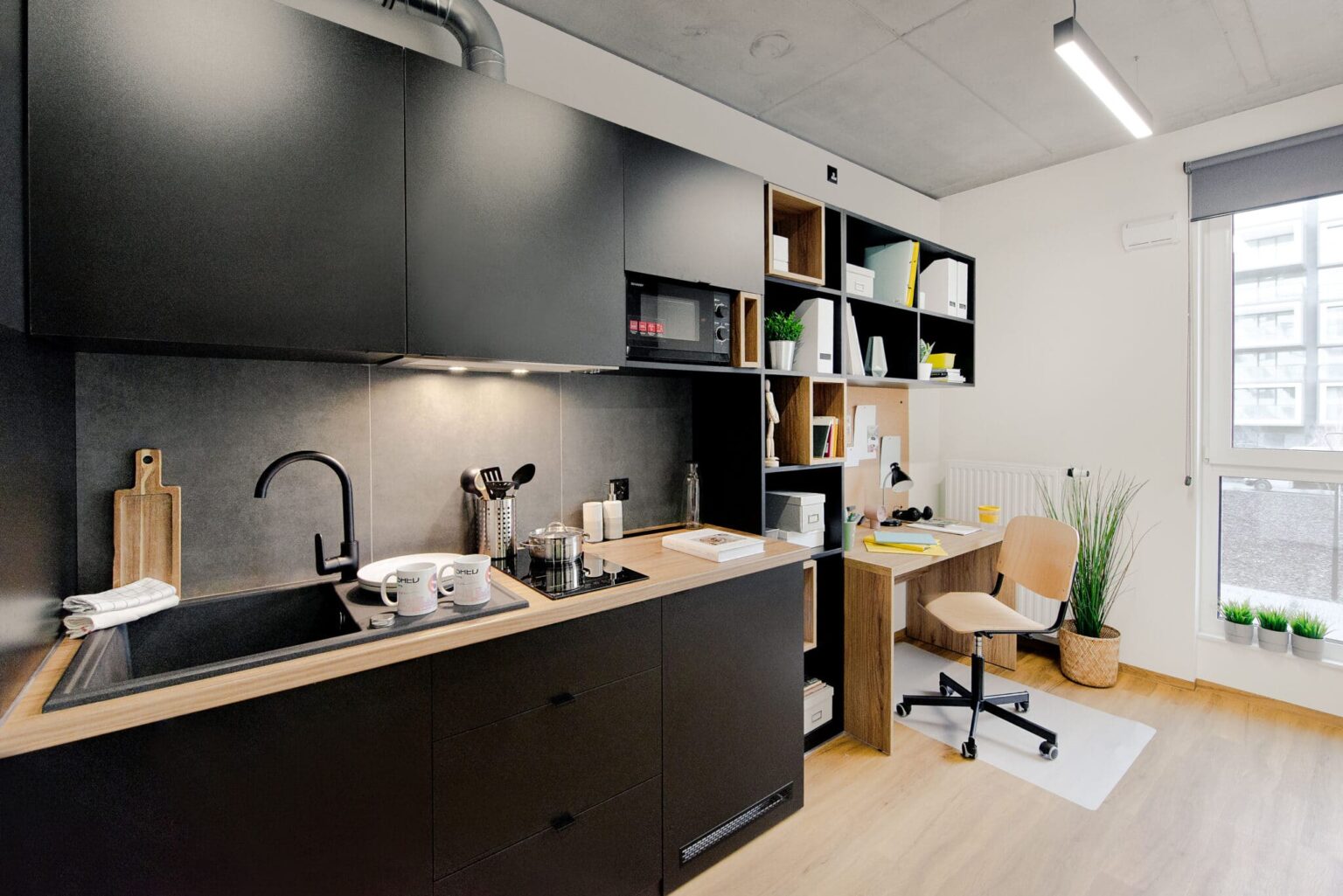Compact Studio - 2