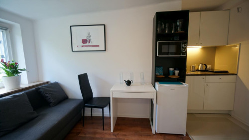 Homely studio near the Piłsudzkiego - Niciarniana train station  - Gallery - 7