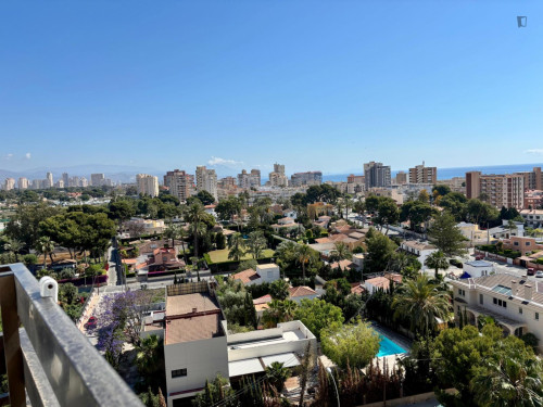 Luminous 1-bedroom apartment in San Juan Playa
