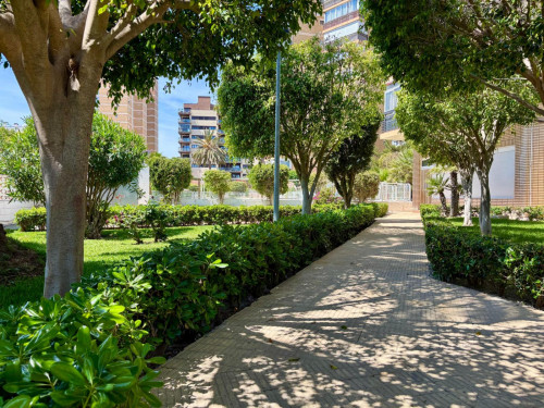 Luminous 1-bedroom apartment in San Juan Playa