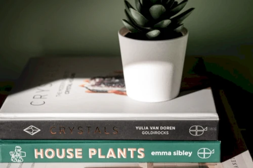 114953356020250529040154AM