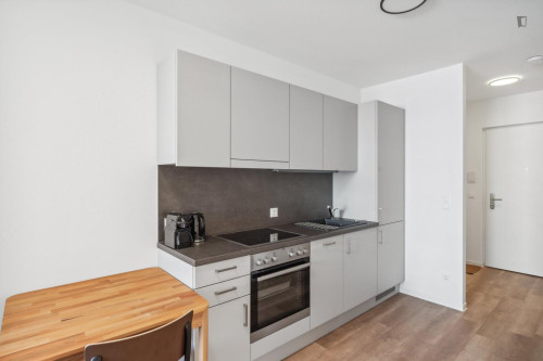 Bright and comfy 1-bedroom apartment in Lend