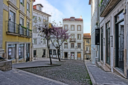 Very nice studio in Downtown Coimbra - Gallery - 12
