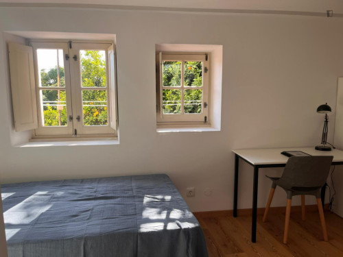 Very nice studio in Downtown Coimbra - Gallery - 28