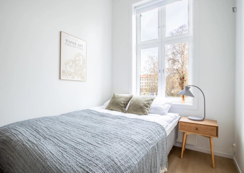 Stylish single bedroom in nice shared flat in Grünerløkka