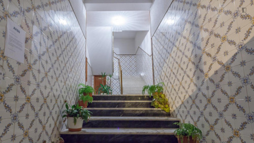Comfy twin bedroom in 3-room apartment near ISMAI - Gallery - 6