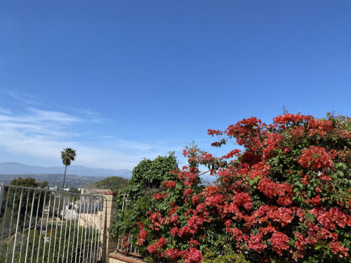 Coraview Home - Gallery - 59