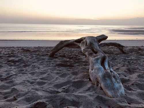 Inspiring Coliving space in San Carlos