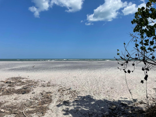 Inspiring Coliving space in San Carlos