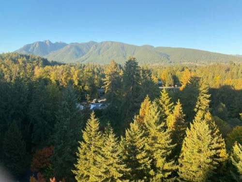 Room for rent in North Vancouver 
