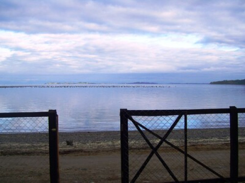 Lovers of southern Chile - Gallery - 13