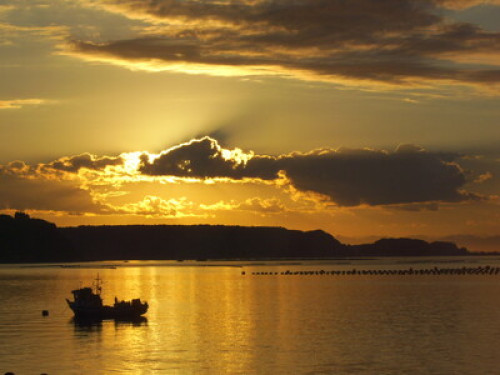 Lovers of southern Chile - Gallery - 15