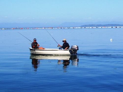 Lovers of southern Chile - Gallery - 16