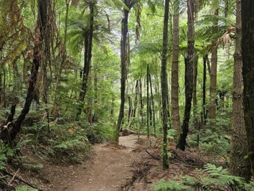 Peaceful Rural Living – Large Room   - Gallery -  5