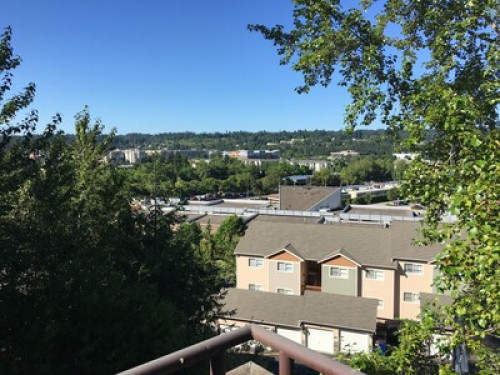 Beautiful Redmond View 2 Bedroom