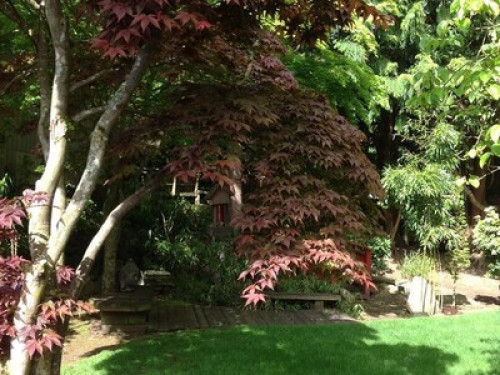 House w/  Japanese/vegetable garden - Gallery - 5