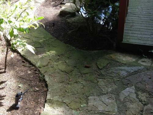 House w/  Japanese/vegetable garden - Gallery - 14