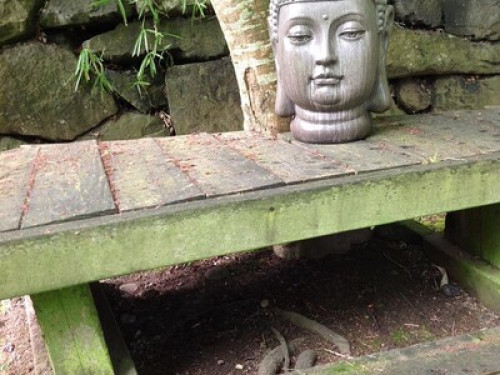 House w/  Japanese/vegetable garden - Gallery - 7