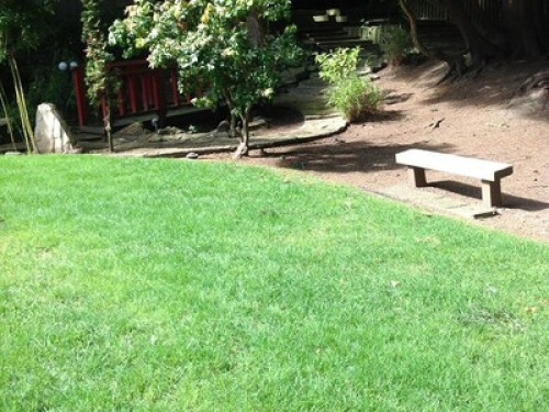 House w/  Japanese/vegetable garden