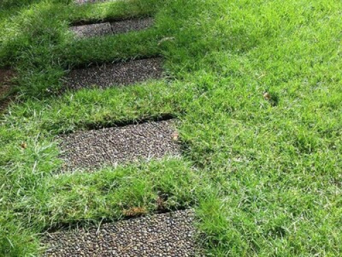 House w/  Japanese/vegetable garden - Gallery - 12