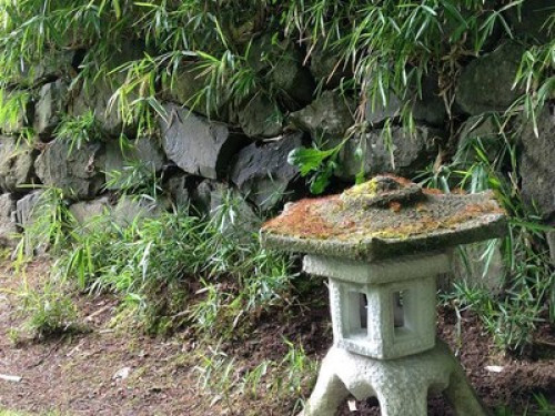 House w/  Japanese/vegetable garden - Gallery - 9