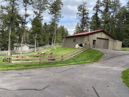 Peaceful Organic Farm