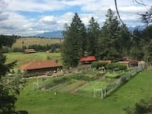 Peaceful Organic Farm - Gallery - 6
