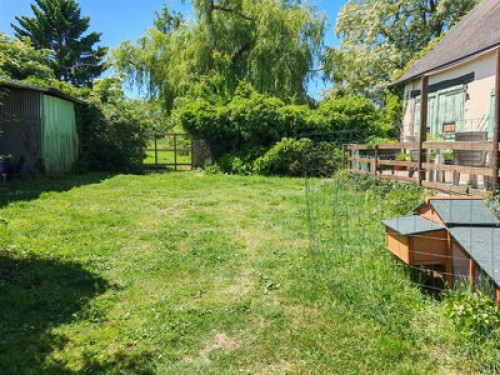 Butterfly Dreams   - Gallery -  5