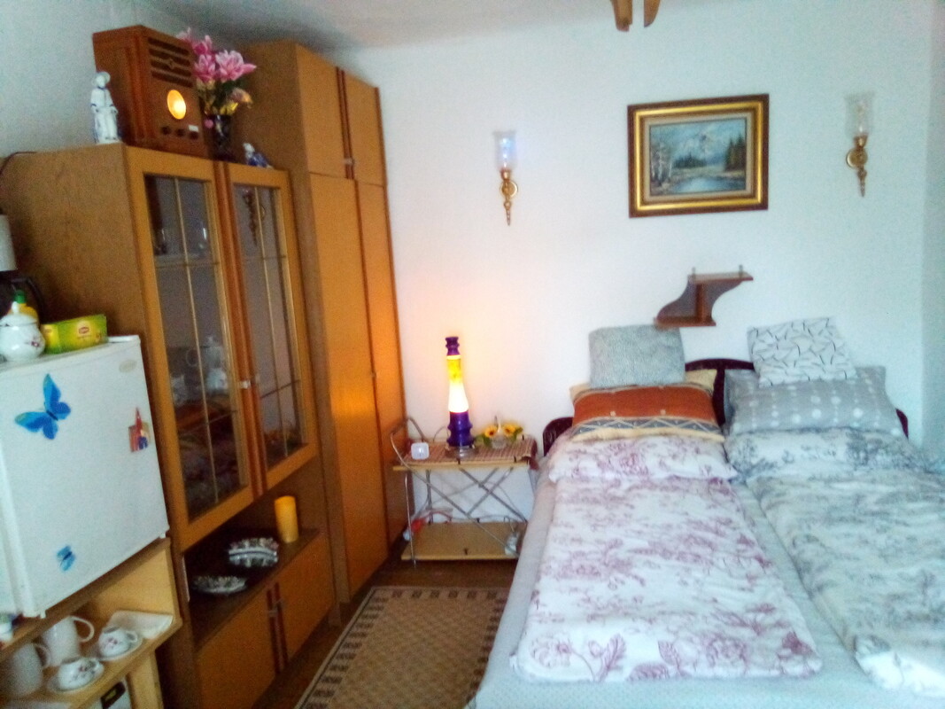  Small Room(Full Room)  -  Mountains and forest around.  - Gallery -  1