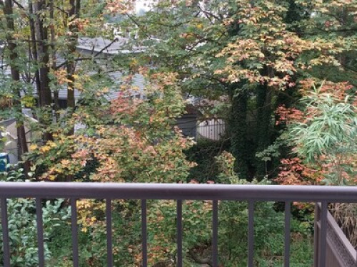 Patio off bdrm & a parking spot:):)