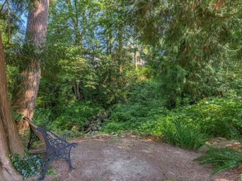 Tranquility    - Gallery -  5